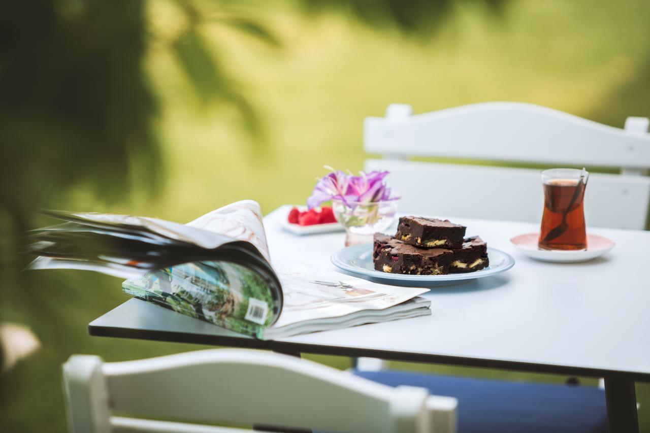 Levin Hotel アラカティ エクステリア 写真